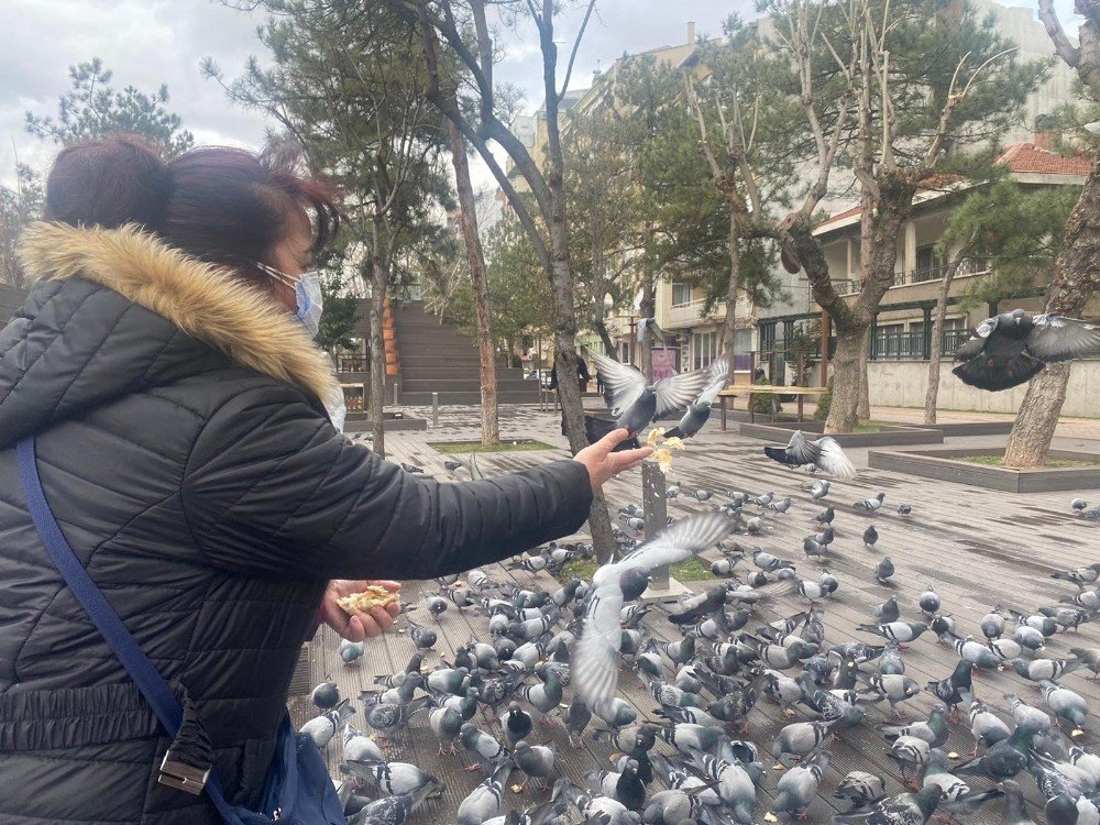 Hayvan Sevgisi Bu Olsa Gerek