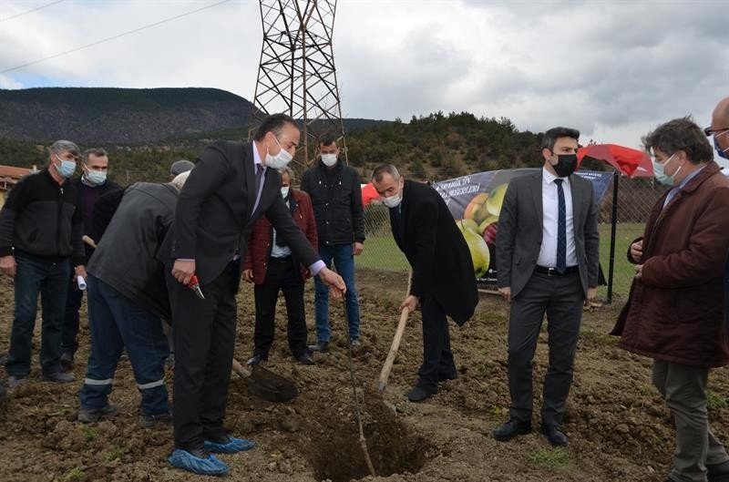 ‘karabük’ün Saklı Değerleri’ Projesi İle Yerel Çeşitler Korunacak