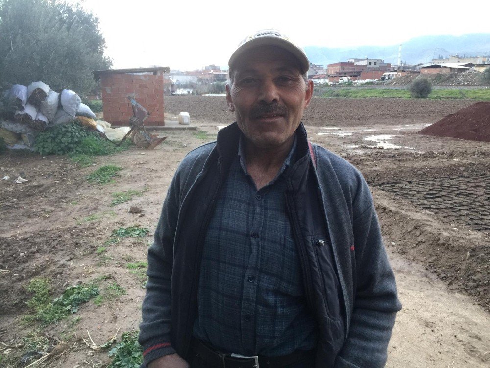 Bahçesine Fidan Dikerken El Bombası Buldu