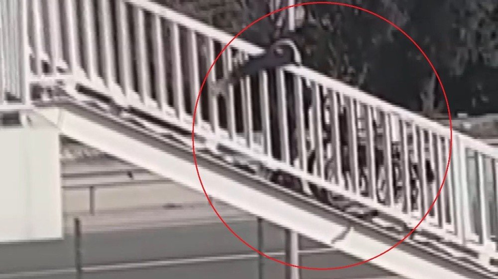 Engelli Vatandaşa İşkence Gibi Uygulama Kamerada...