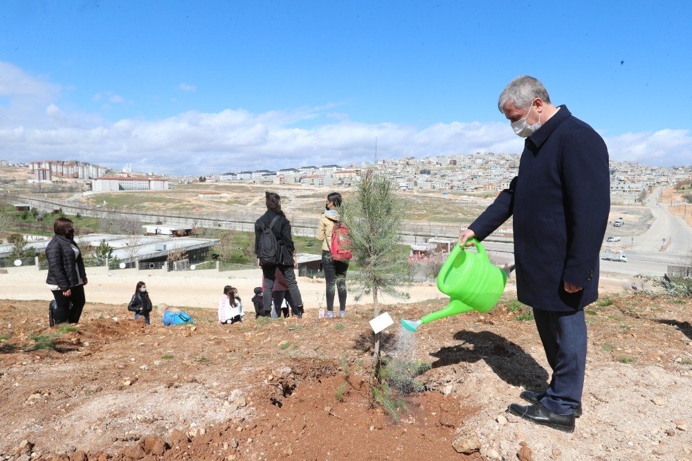 Şehitlerin İsmi Şahinbey’de Fidanlarda Yaşayacak