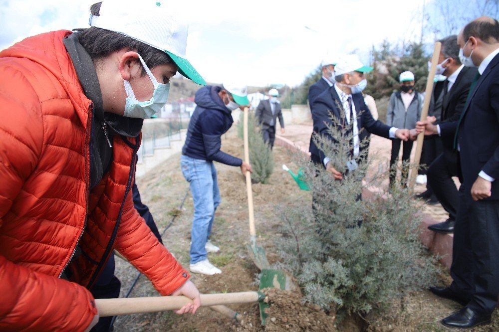 Elazığ’da Fidanlar Şehit Osman Paşa Ve Silah Arkadaşları İçin Toprakla Buluşturuldu