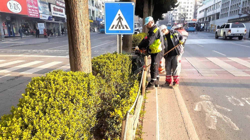 Kahramanmaraş’ta Minyatür Ağaçlar Budanıyor