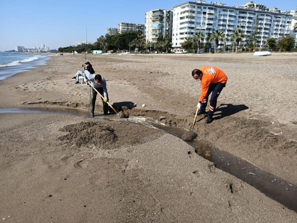 Mersin’de 862 Menfez Düzenli Olarak Temizleniyor Ve İlaçlanıyor
