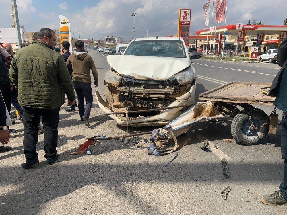 Şanlıurfa’da Kamyonet At Arabasıyla Çarpıştı: 1 Yaralı
