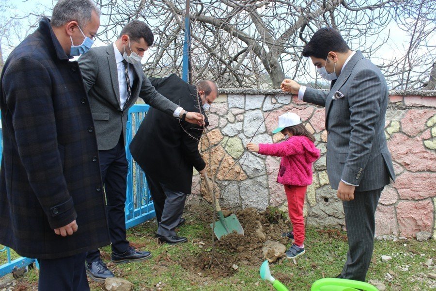 Türkeli’de Orman Haftası Etkinlikleri