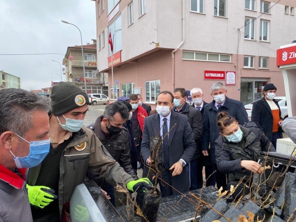 Aslanapa’da Fidan Dağıtımı