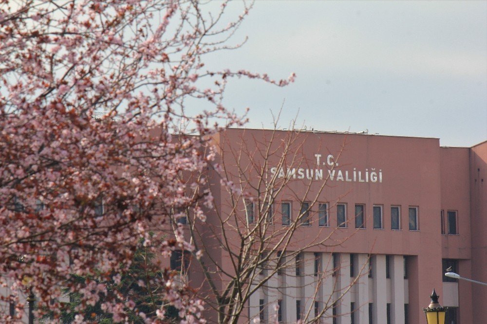Samsun’da İlkbahar: Tabiat Şenlendi