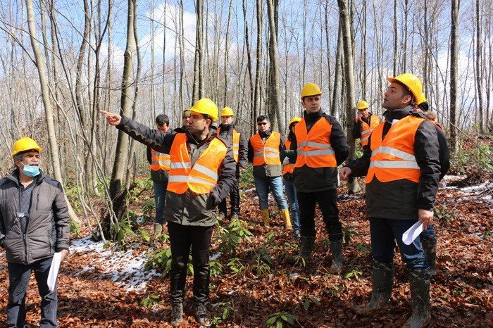 Düzce’de Silvikültür Uygulamaları Yapıldı