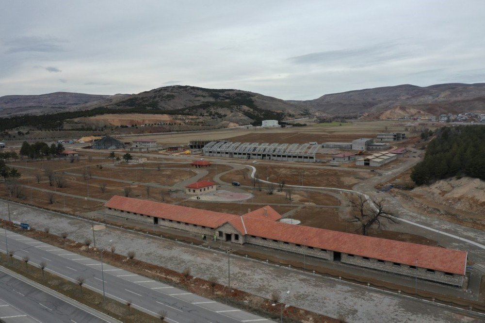 Saraya At Yetiştirilmişti, Çalışmalar Hızla Sürüyor