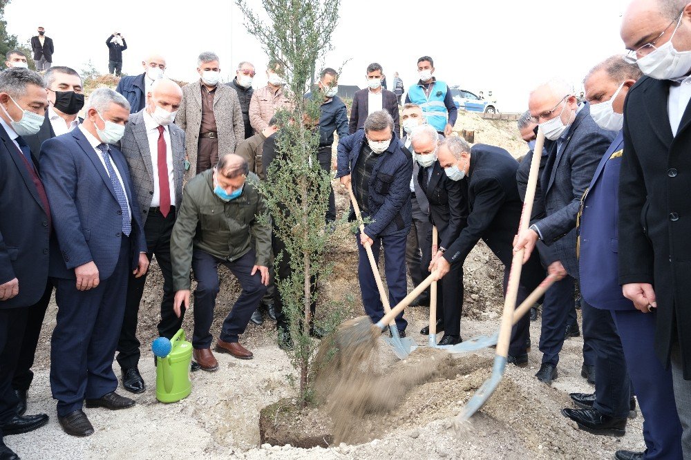 Tobb’dan Belen’deki Yangınlarda Zarar Gören Alanlara 31 Bin Fidan