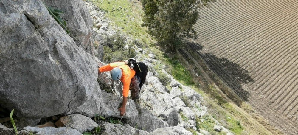 Kayalıklarda Mahsur Kalan Keçileri 5 Saatlik Çalışmayla Sırtlarında Taşıyarak Kurtardılar