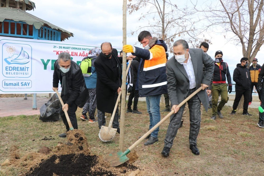Kesilen Ağaçların Yerine Onlarcası Dikildi