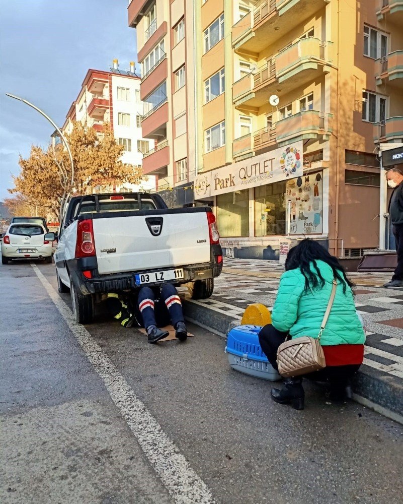 Kamyonetin Altına Sıkışan Kediyi İtfaiye Ekibi Kurtardı