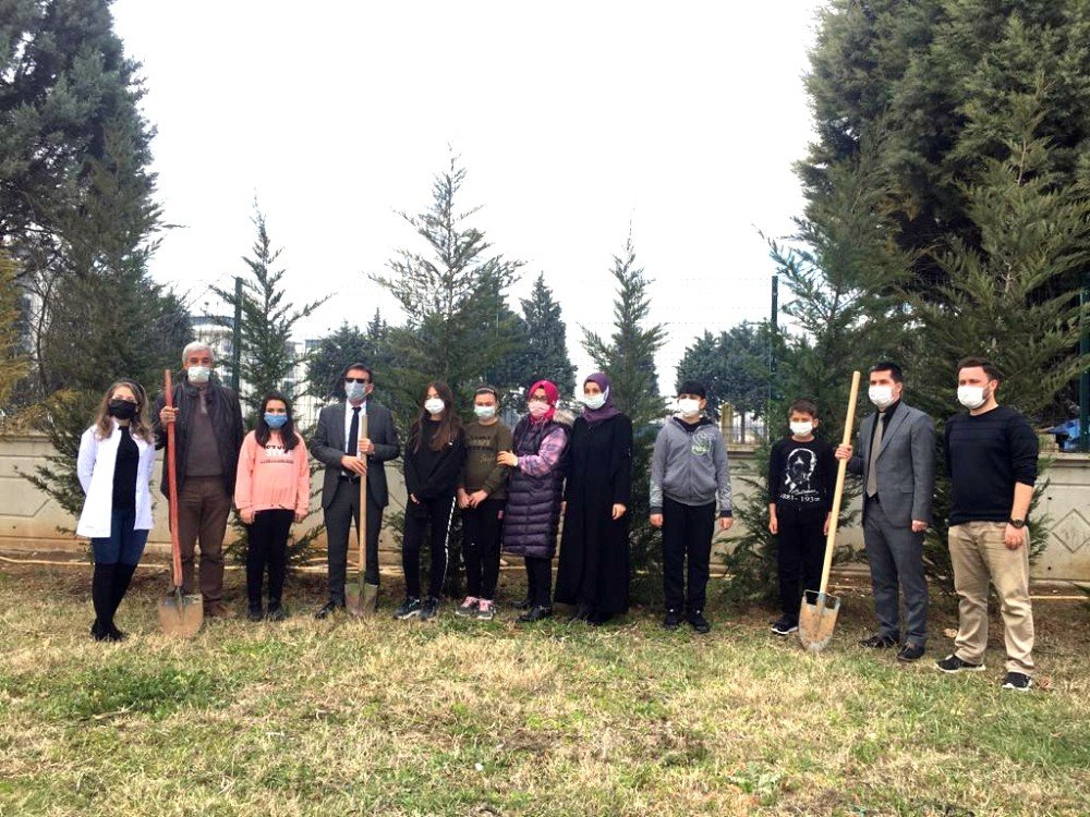 Yenişehir Yeşillenecek
