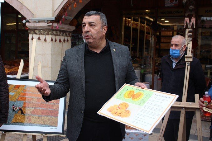 Özcan, Kayısının Gelişim Sürecini Anlattı
