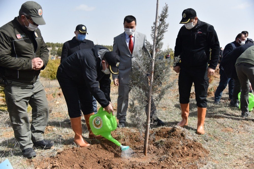 Karaman’da ‘dünya Ormancılık Haftası’ Etkinlikleri