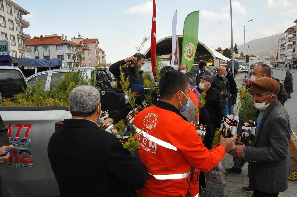 Akşehir’de Vatandaşlara Fidan Dağıtıldı