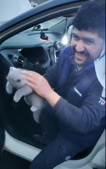 Haylaz Kedi Öyle Bir Yere Girdi Ki, 3 Saatte Kurtarılabildi