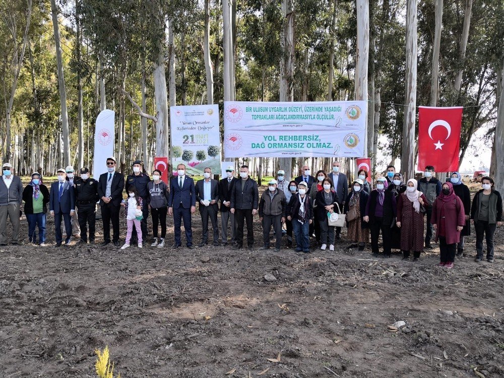 Yaşlılar Haftası’nda Tarsus’ta Ağaç Dikildi