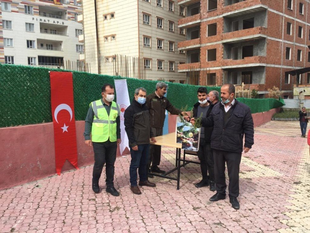 Sason’da Vatandaşlara Bin 500 Adet Fidan Dağıtıldı