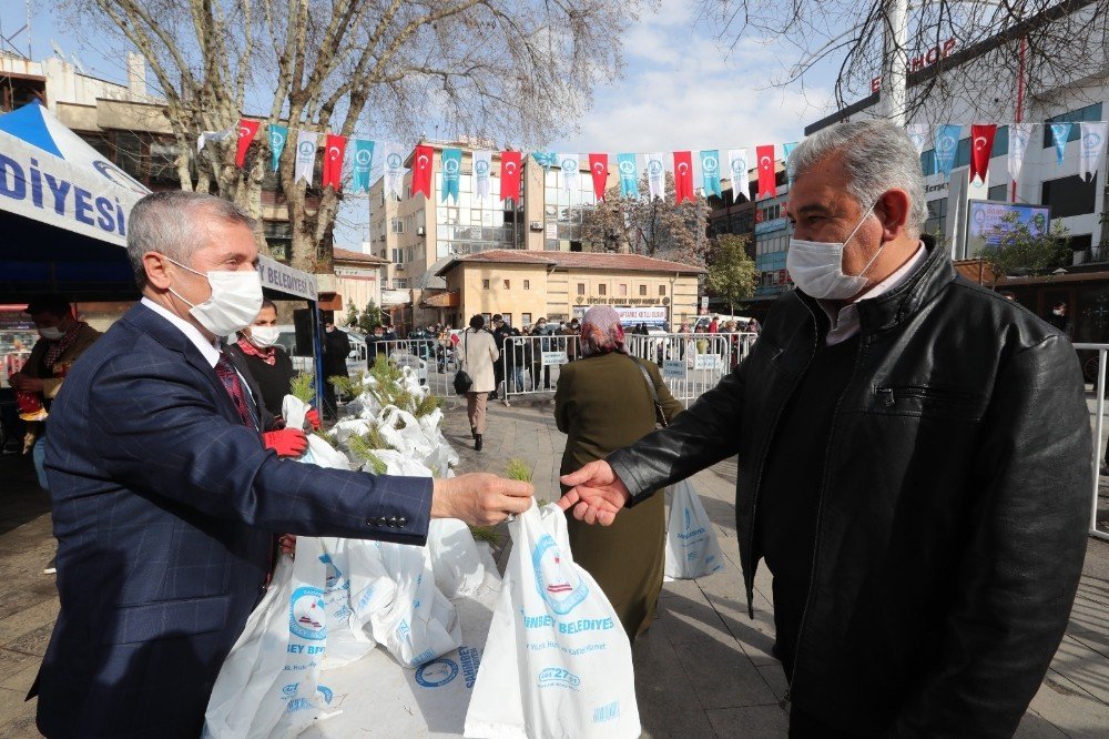 Şahinbey’de 150 Bin Fidan Dağıtılıyor