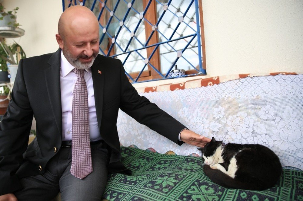 Kocasinan’dan Küçük Dostlara Sıcak Bir Yuva Olacak ‘kedi Kasabası’