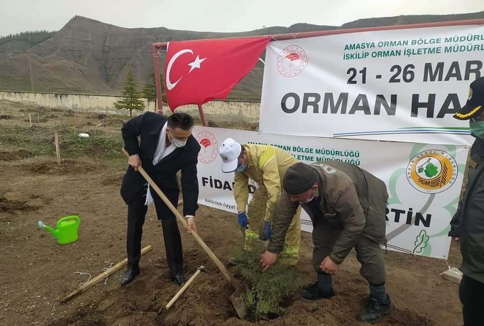 İ̇skilip’te 500 Fidan Toprakla Buluşturuldu