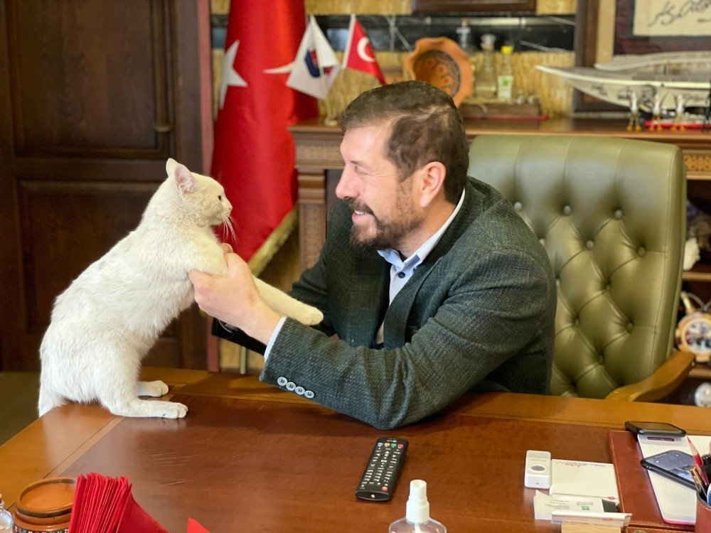 Başkanın Makamında Sevimli Bir Maskot