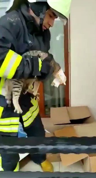 Yaramaz Kedi Kafasını Konserve Kutusun Sıkıştırdı