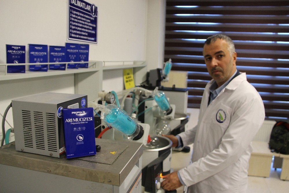 Propolis Alırken Ve Kullanırken Nelere Dikkat Edilmeli?