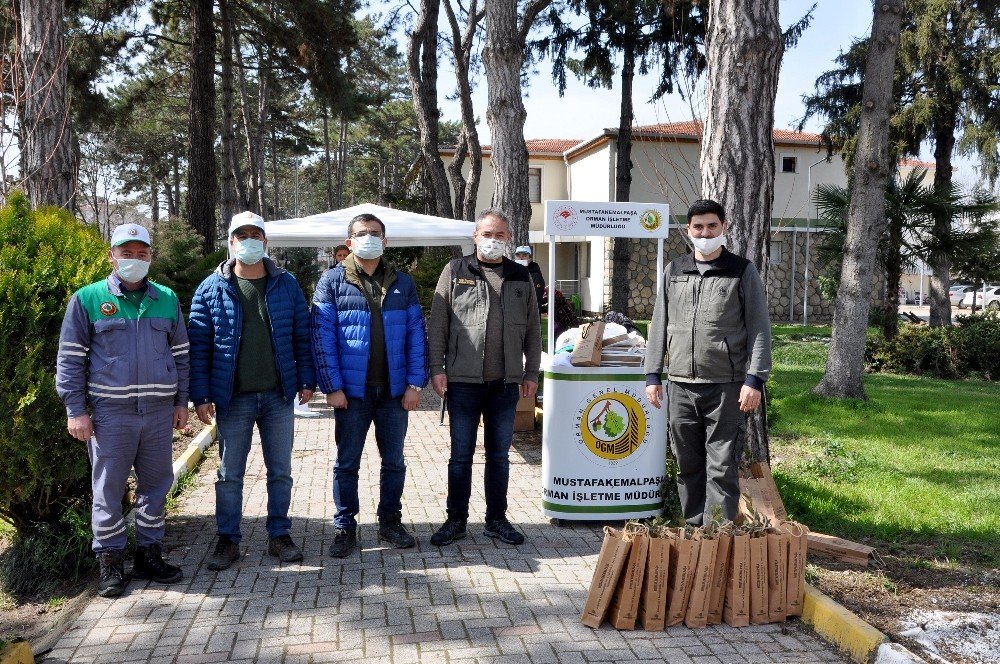 Vatandaşlara Ücretsiz Fidan Dağıtıldı