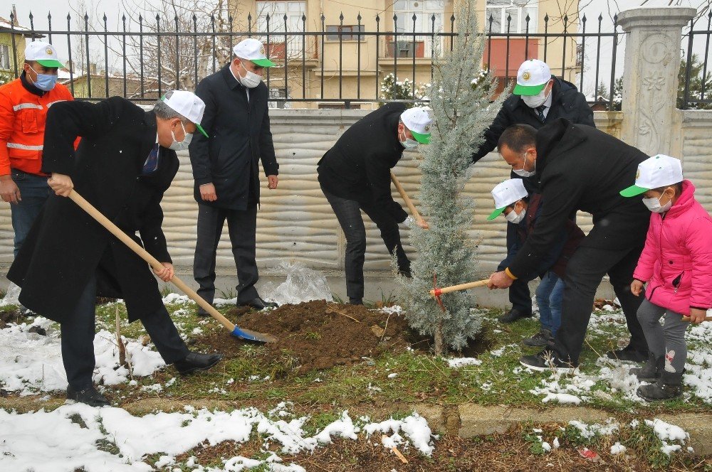 Akşehir’de Öğrencilere 500 Adet Fidan Dağıtıldı