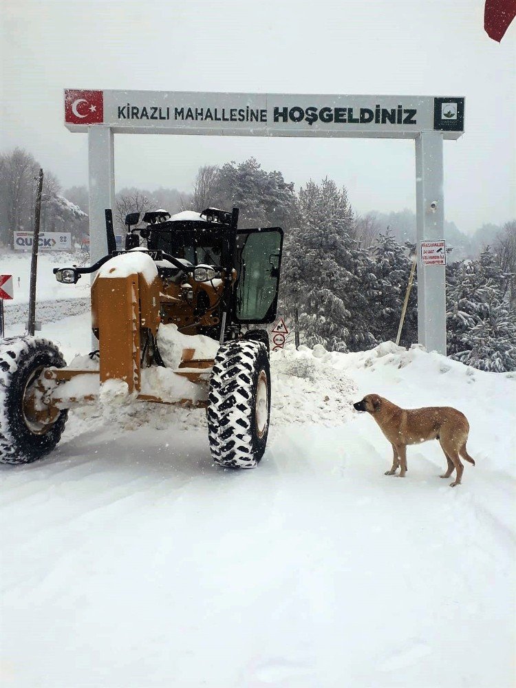 Karla Kapanan Yollara Ânında Müdahale