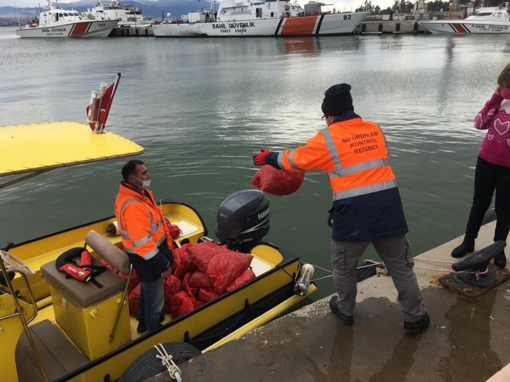 Kaçak Avlanan 700 Kilo Akivades Denize İade Edildi