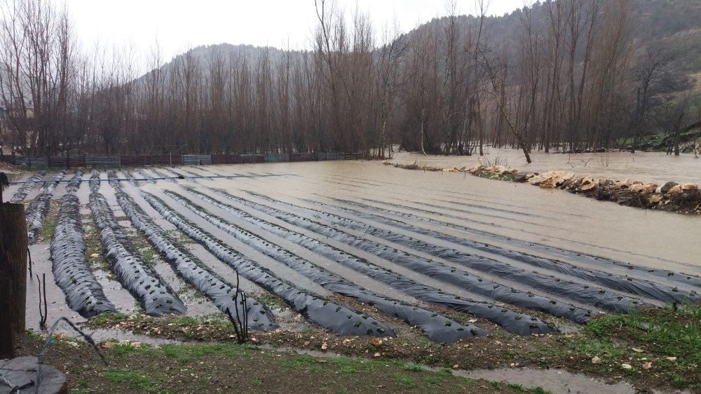Kahramanmaraş’ta Tarım Arazileri Sular Altında Kaldı