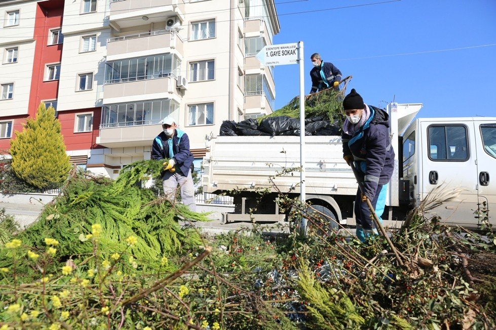 15 Bin Ton Budama Atığı Gübre Oldu