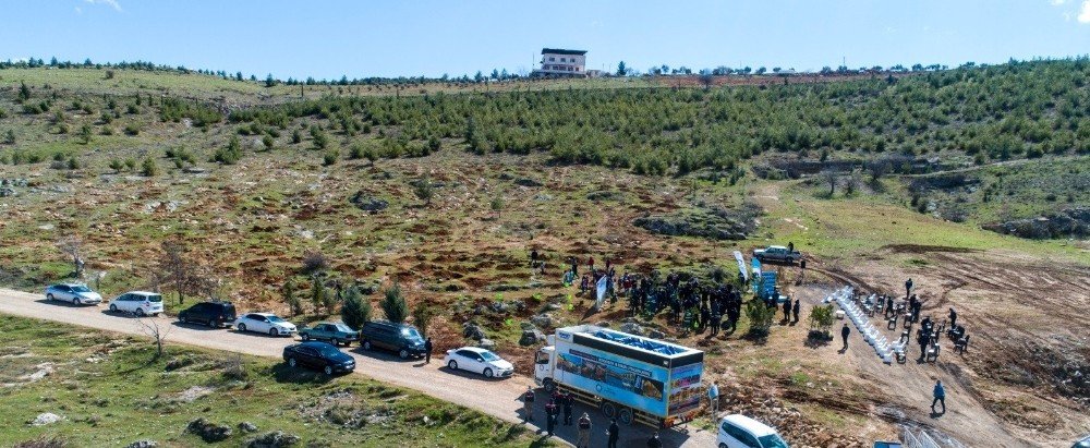 Daha Yeşil Bir Şahinbey İçin Çam Fidanı Dikildi