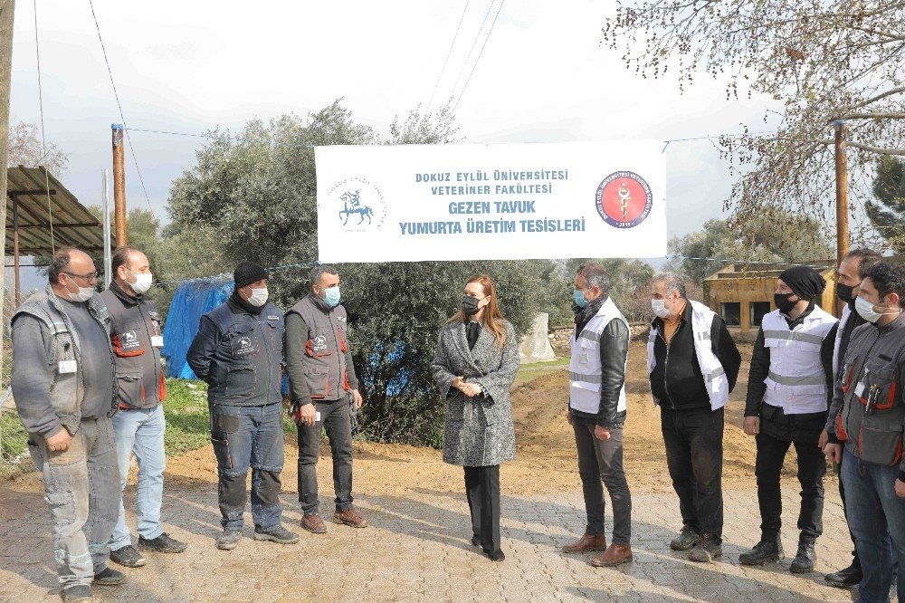 Deü Kiraz’da Bölgenin İlk Kanatlı Hayvan Çiftliğini Kuruyor