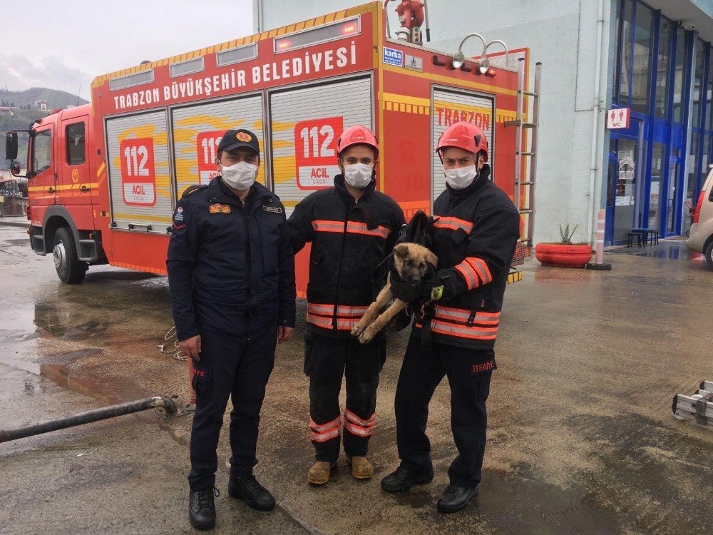 İ̇tfaiye Ekiplerinden Dereden Köpek Kurtarma Operasyonu