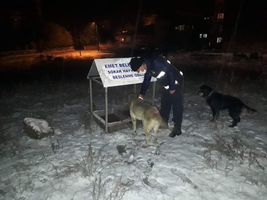 Karantinada Sokak Hayvanları Unutulmadı