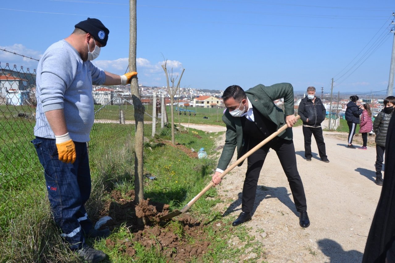 Biga Yeniceköy Mahallesi Ağaçlandırıldı