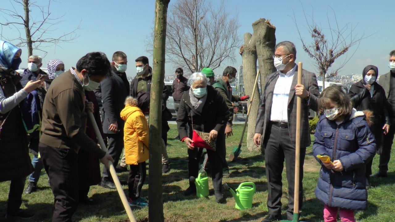 Üsküdar’da Kız Kulesinde Katledilen Ağaçların Yerine Yenileri Dikildi
