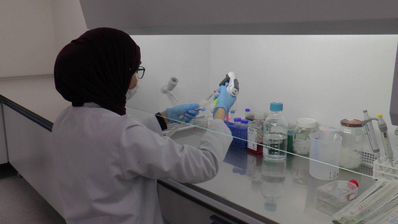 Erfarma’da Virüs Üzerinde Etkili Olabilecek İlaç Araştırmaları Devam Ediyor