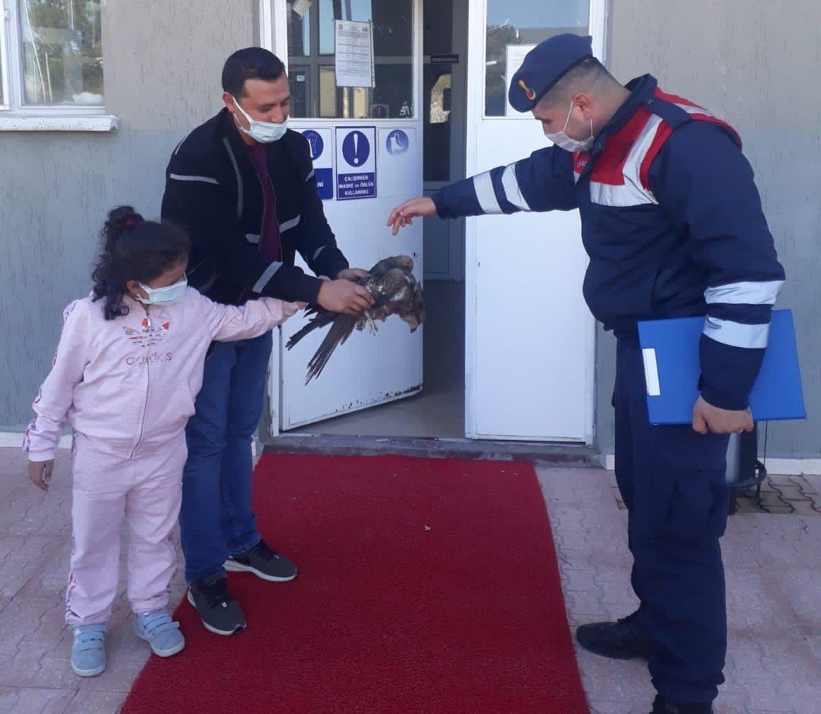 Jandarmanın Yaralı Bulduğu Kartal Tedavi Altına Alındı