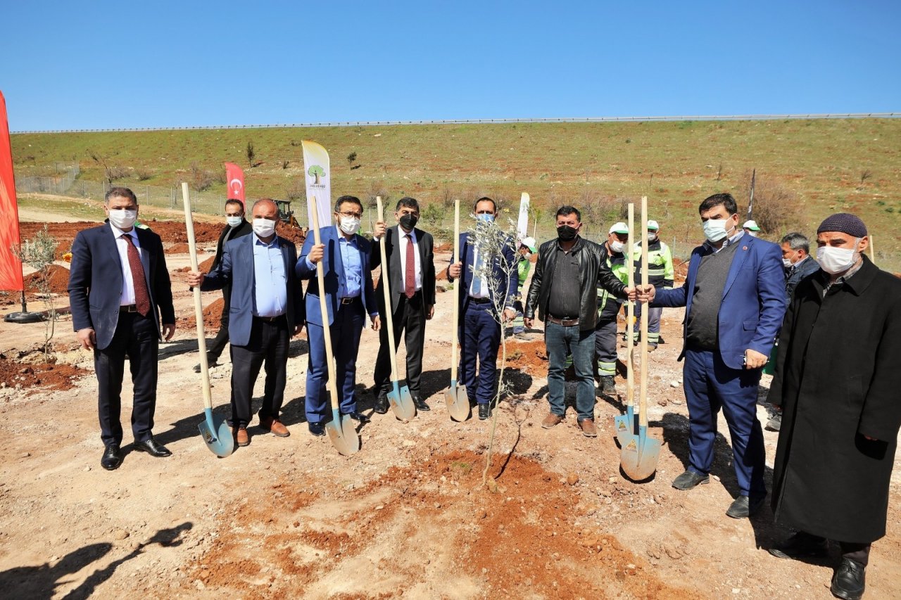 Şehitkamil’de Geleceğe Nefes Olacak Fidanlar, Toprakla Buluşturuldu