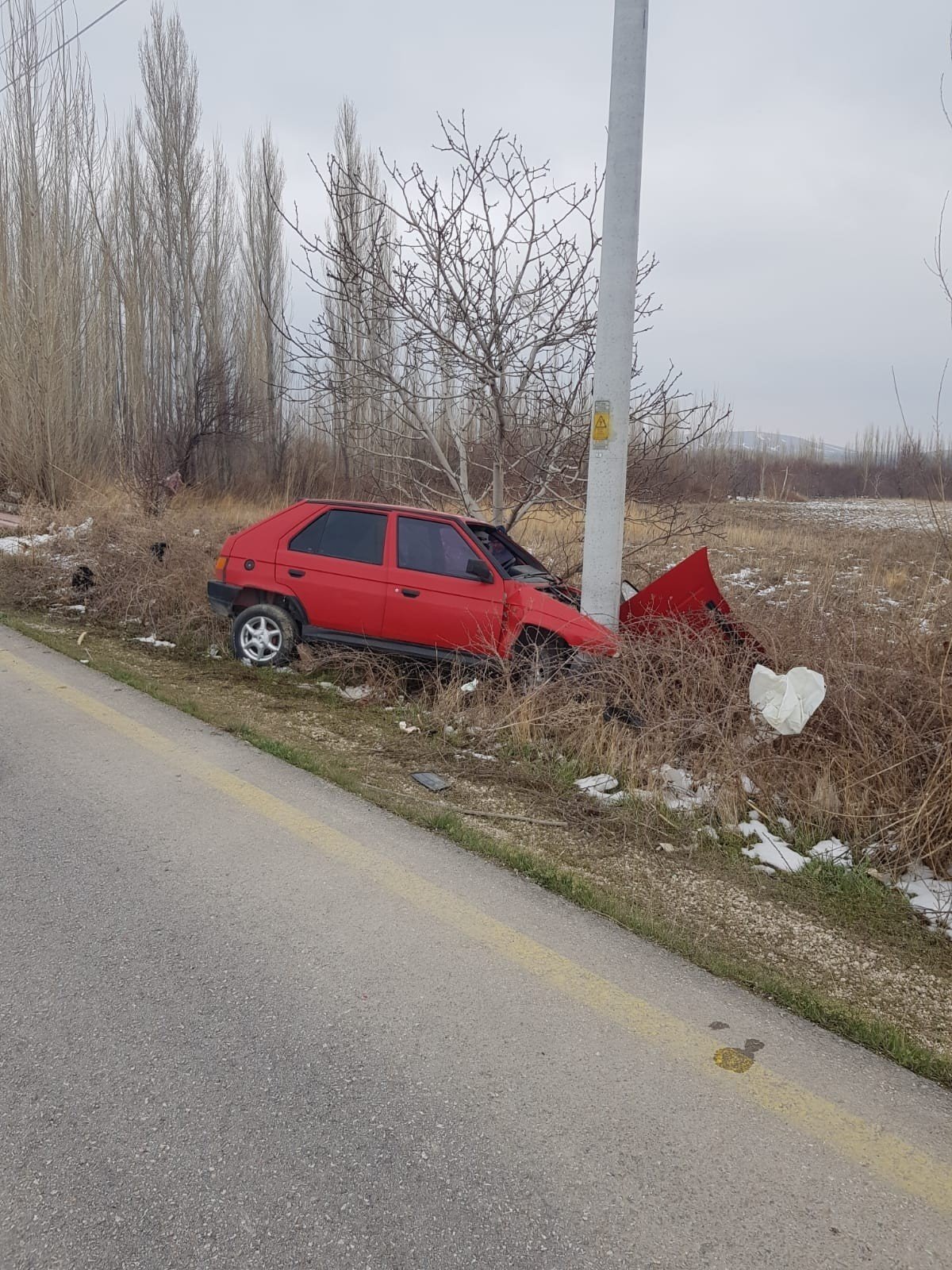 Direğe Çarpan Otomobilin Sürücüsü Yaralandı