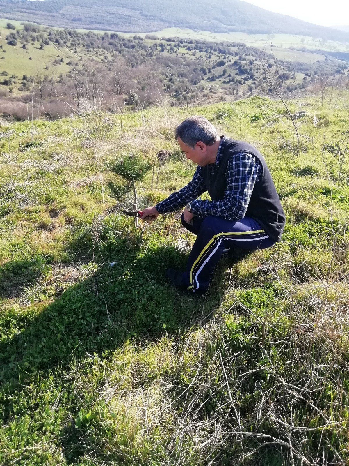 Onlarca Fidanı Toprakla Buluşturdu