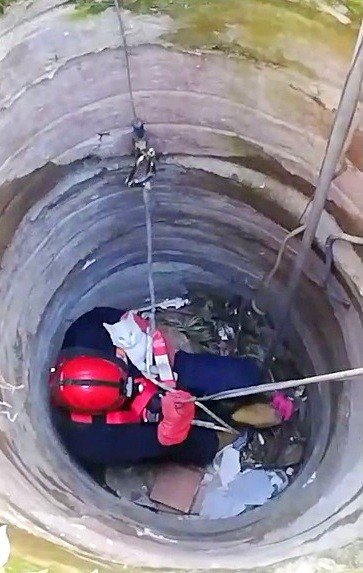 10 Metrelik Kuyuya Düşen Kediyi İtfaiye Kurtardı