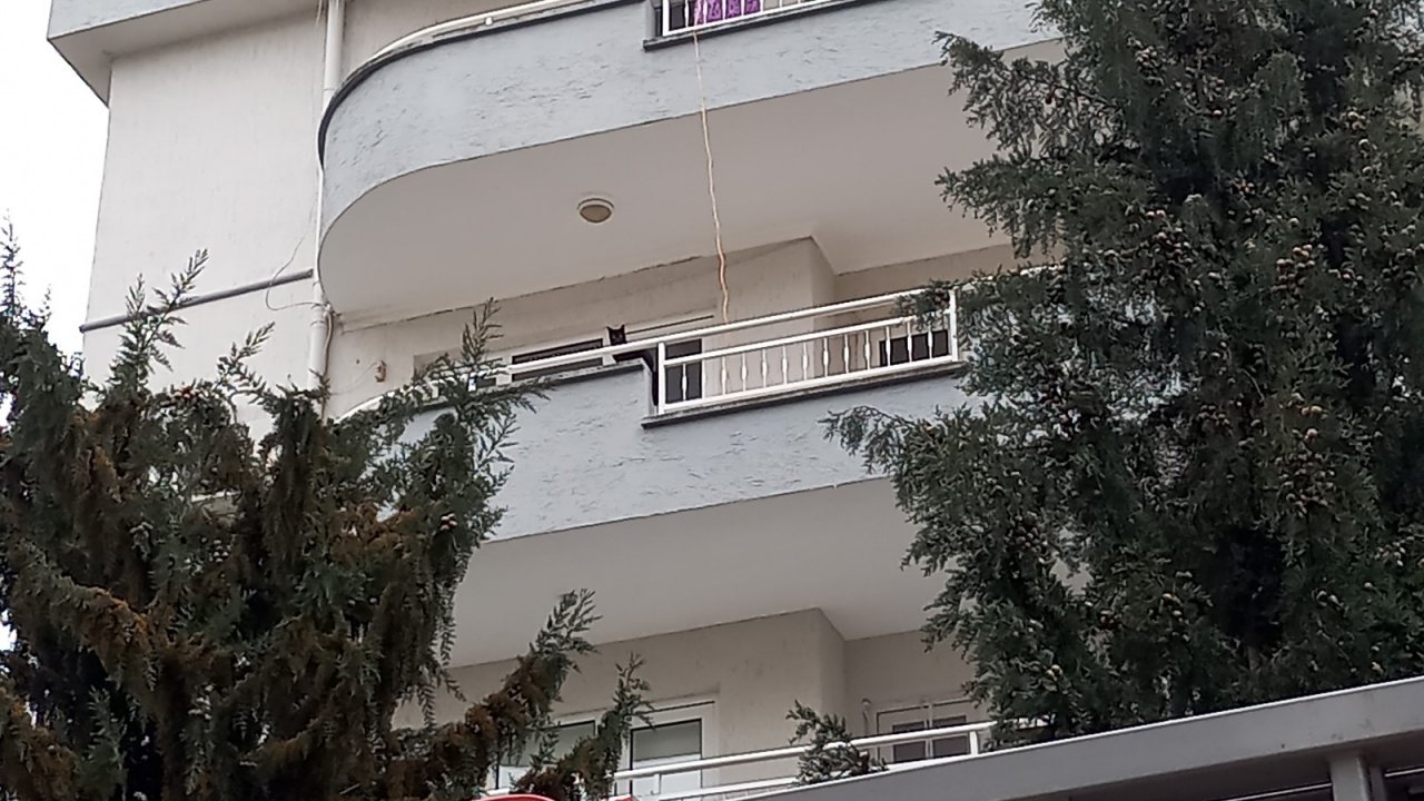 Beşinci Kattan Düşen Kedisi Kurtarıldı, Göz Yaşlarına Boğuldu